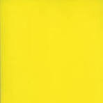 Sticky Notes